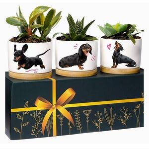 Dachshund Planters Weiner Dog Doxie Pot Planter Set NIB